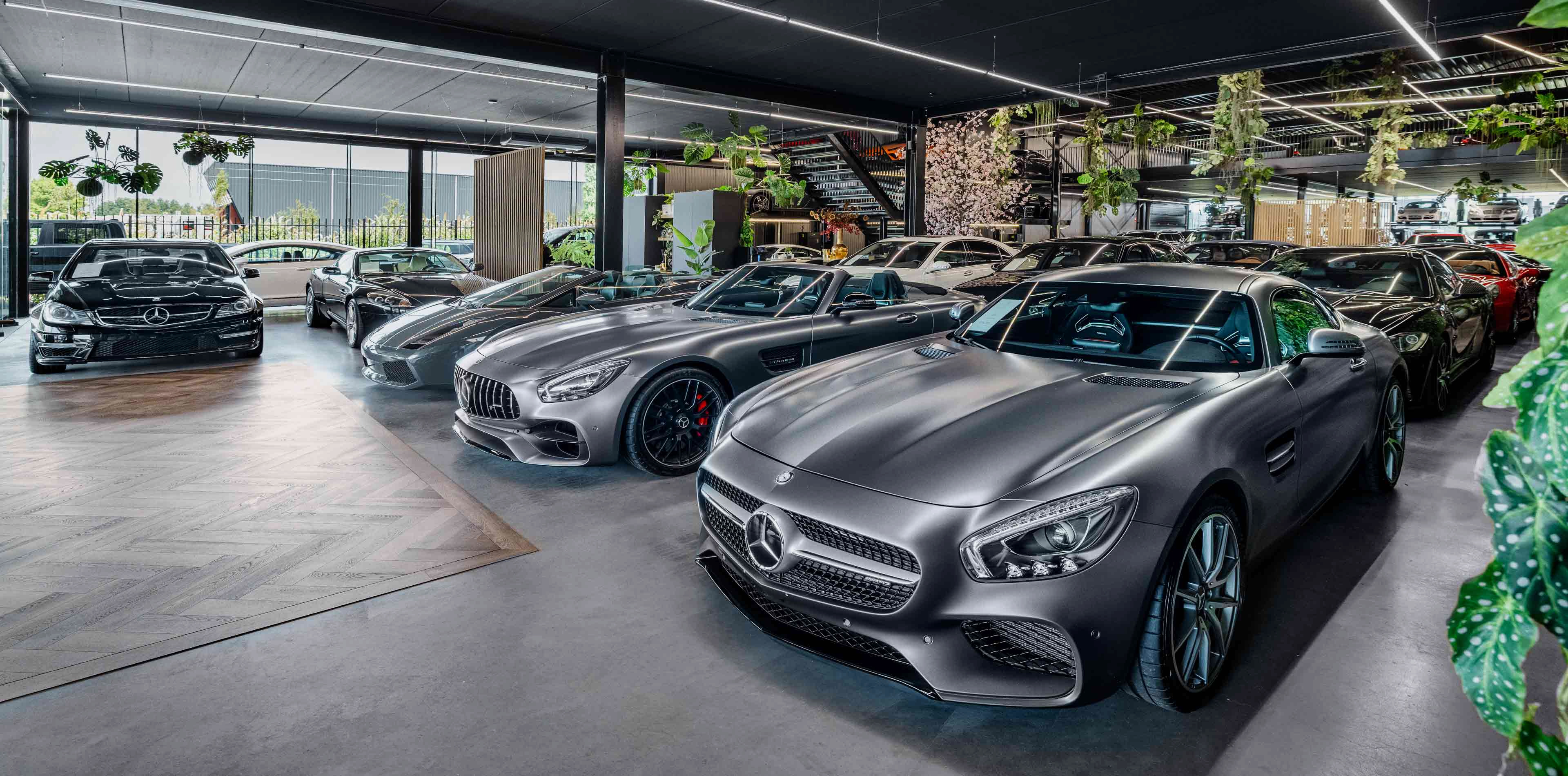 Header Image 5