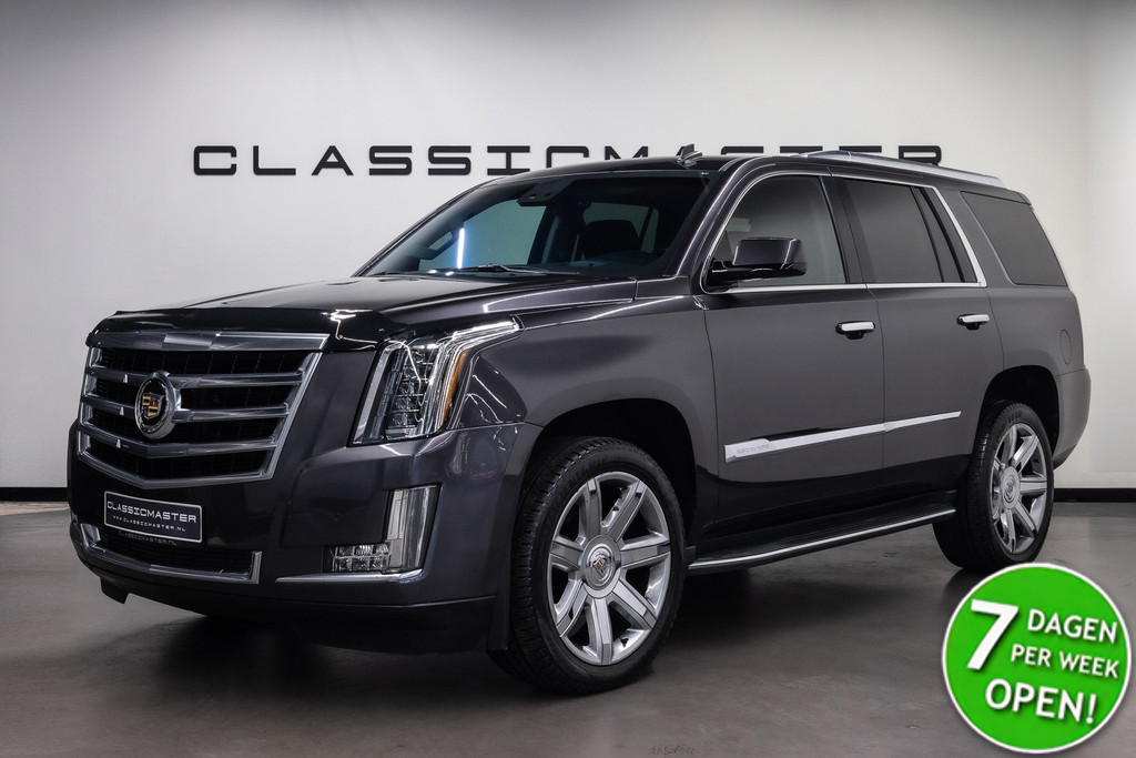 50640973-61.jpg